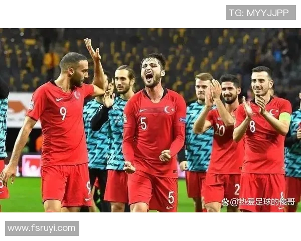 2017年冰岛与土耳其足球比赛首发阵容分析与对比 2017年冰岛与土耳其足球比赛首发阵容分析与对比