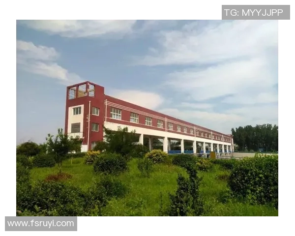 文安县体育馆热血足球比赛直播精彩瞬间全记录与赛况分析